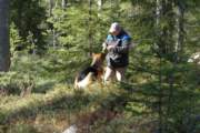 Photo Number 11