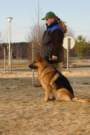 Photo Number 6