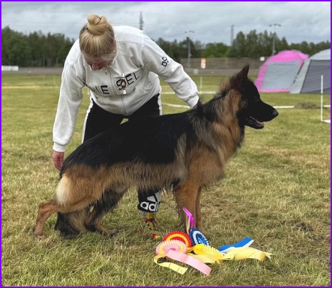 Jadovar Bensi Oulu RN