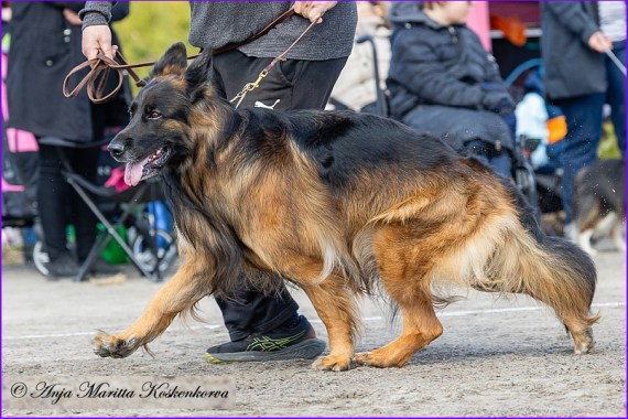 Jadovar Astrid "Kira"