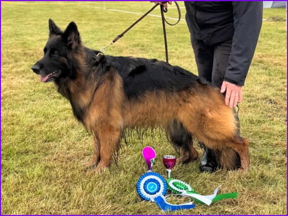 Jadovar Astrid Oulu RN