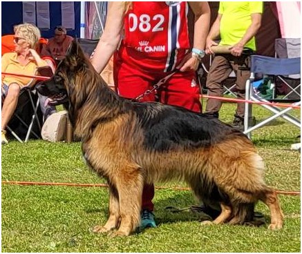 Rilla Norjan päänäyttely 2023