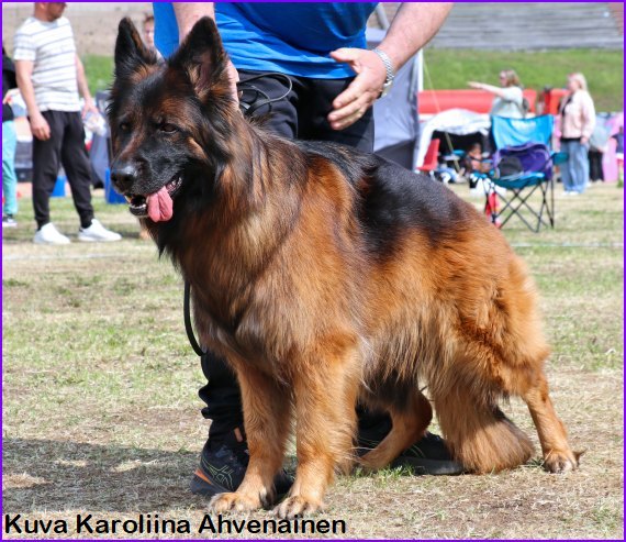 Jadovar Arianna "Rilla"