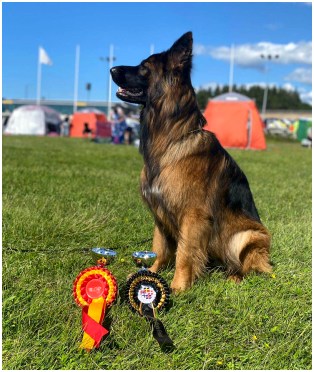 Rilla Tornion RN Heinäkuu