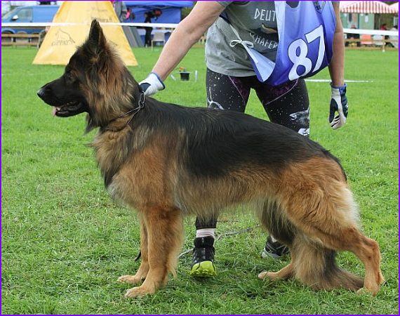 Jadovar Arianna "Rilla"